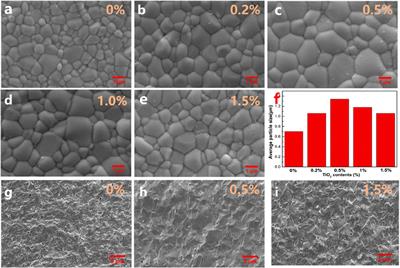 Effect of TiO2 as an additive on the sintering performance of Sm-doped CeO2-based electrolyte for solid oxide fuel cells